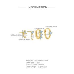 Detailed chart for s925 silver earring set with opal and zirconia including dimensions