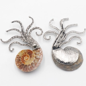 Silver octopus brooch and pendant with ammonite fossil shell on white background