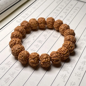 Macro shot of brown Rudraksha Bodhi seed bracelet with deep textures on calligraphy paper