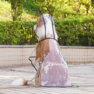 Outdoor shot of transparent dog raincoat with black trim and hood for large pets
