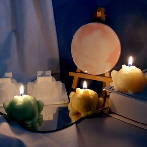 3D Frosch Silikonform für Kerzen mit kreativen handgemachten Wachsfiguren im Set