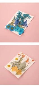 Makroansicht bunter Trockenblumen und Blätter für kreative DIY-Lesezeichen-Bastelsets