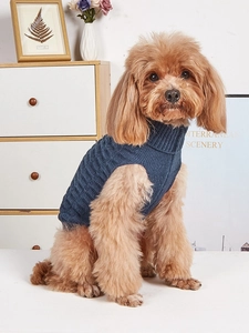 Detail of navy knit high-neck sweater showing texture and fit on a small dog