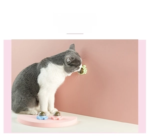 Cat licking a rotating catnip wall toy with flower-shaped base and dust cover