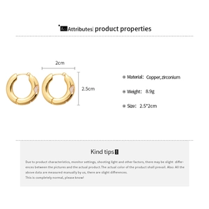 Detailed view of gold plated copper earrings with zircon and 2.5cm size measurement