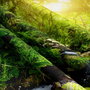 Detailed close-up showing woven texture and tropical forest print on the landscape tapestry