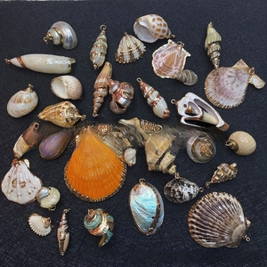 Flat lay of natural assorted seashells with gold edges for DIY jewelry making