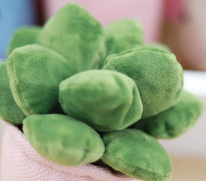 Close-up of a green plush succulent toy in a pink knitted pot for cozy home decoration