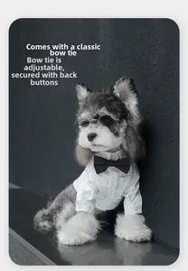 Detail of pet dress shirt with classic bowtie and back button closure for small dogs