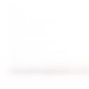 Detailed size chart for zircon flower necklace and earrings set in silver finish