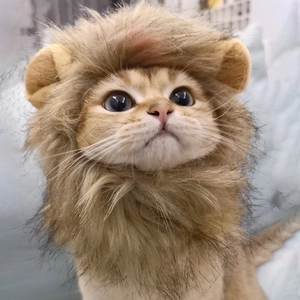 Cute lion mane wig for cats and small dogs with ears, soft brown synthetic pet headwear