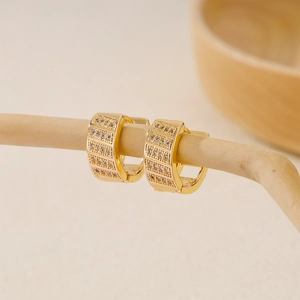 Golden chunky hoop earrings with cubic zirconia inlay on elegant dry branches
