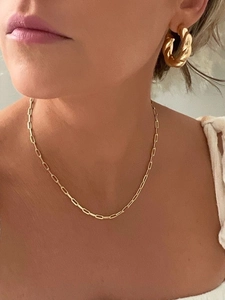 Close-up of golden paperclip link chain necklace and twisted hoop earrings on model