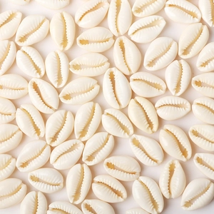 Natural Cowrie Shell Charms Beads For DIY Jewelry Making Beach Bohemian Style Necklace Bracelet Accessories