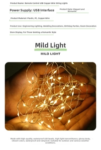 Macro detail of waterproof LED copper wire string lights with USB power interface
