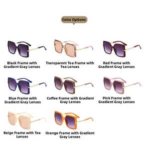 Classic square sunglasses collection in eight colors including black, tea, and red