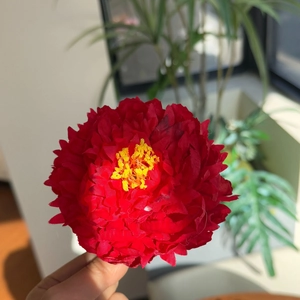 Detail of red faux peony hair clip showing layered petals and yellow stamen