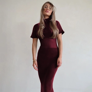 Close-up of slim-fit burgundy mesh maxi dress featuring a high collar and short sleeves
