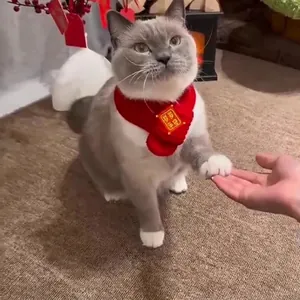 Écharpe rouge du Nouvel An pour animaux avec plaque dorée pour chats et petits chiens