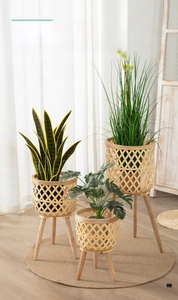 Detailed trio of hand-woven plant stands with wooden legs in a minimalist living room