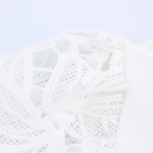 Elegant white blouse featuring lace hollow-out details and ruffled pleated chest design