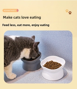 Detail view of elevated pet bowl with tilted wide mouth for ergonomic cat neck protection