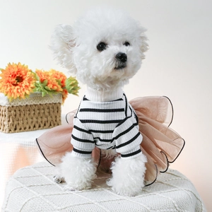 Detail of pet wedding dress with striped top and pink mesh skirt on small white dog