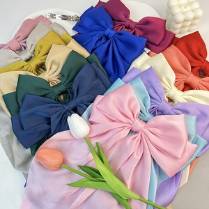 Vue détaillée de grands nœuds à cheveux en satin aux couleurs assorties