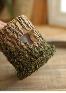 Macro detail of natural log tree house with star-shaped cutout and green moss decor