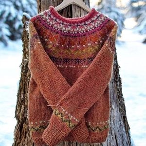Gedetailleerde gebreide textuur van Fair Isle trui hangend in een winters bos