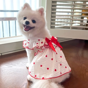 White pet dress with red heart prints and a delicate bow tie for small dogs and cats