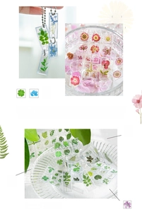 Detail of 3D acrylic stickers with dried flowers and green leaves for DIY crafts