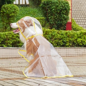 Close-up of clear waterproof dog raincoat with yellow trim on a Border Collie
