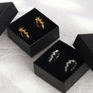 Boucles d'oreilles spirales irrégulières en acier inoxydable doré et argenté avec boîtes
