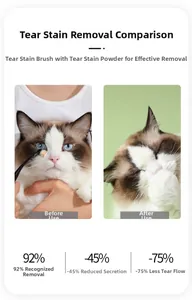 Macro d'une brosse et poudre nettoyante pour l'élimination des taches de larmes de chat
