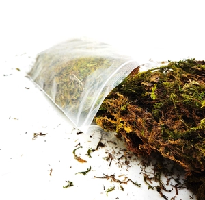 Dettaglio macro di muschio verde naturale essiccato per decorazioni piante fai-da-te