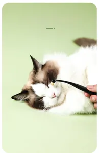 Détail d'une brosse douce en fibres nettoyant les traces de larmes sur un chat