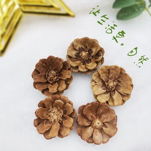 Macro view of five rose-shaped natural pine cones on a soft white plush background