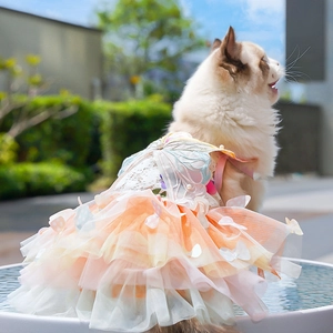 Detail of fairy-style pet dress featuring butterfly wings and layers of orange mesh lace