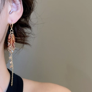 Detailed shot of amber beaded tassel earrings with crystal accents on a model