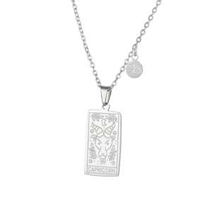Macro view of silver Capricorn tarot card pendant and O-chain in stainless steel