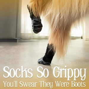Detail showing non-slip waterproof dog socks with grey silicone grip on indoor wood floor