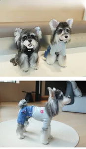 Detail van de honden spijkerbroek met grijs katoenen topje en hartvormige patch