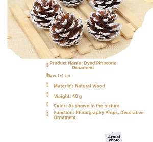 Macro detail of natural pine cones with white snow effect for Christmas home decoration