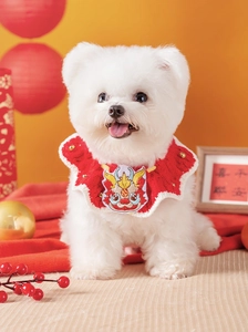 Vue détaillée du collier tricoté rouge pour animaux avec broderie dragon et grelots