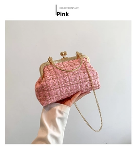 Detailed view of pink tweed shell bag featuring vintage metal clasp and golden chain strap