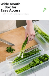 Clear long vegetable storage box for scallion and cilantro in kitchen organizer