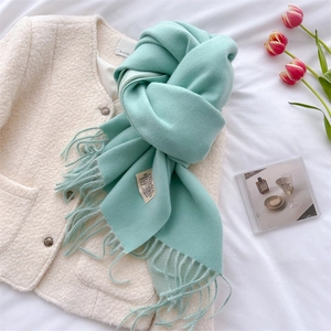 Close-up of light blue cashmere-like scarf showing soft texture and tassel fringe details