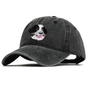 Casquette de baseball grise délavée avec broderie détaillée de Bouvier Bernois