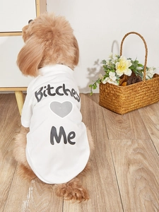 Close-up of white breathable mesh pet T-shirt with heart print on a small dog